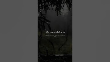 يَا بُنَيَّ أَقِمِ الصَّلَاةَ وَأْمُرْ بِالْمَعْرُوفِ | محمد صديق المنشاوي | سورة لقمان