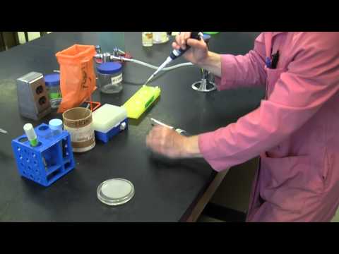 Video: Bacteriophage Klebsiella Polyvalent Purified - Instructions For Use, Price