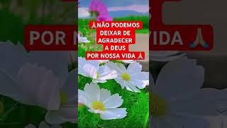 #motivacional #deustemumapalavrapravoce #prosperidade #frasemotivacao #deusnuncafalha