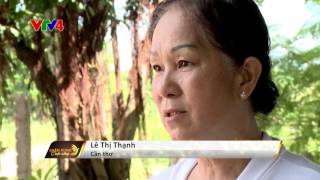 Đạo Cao Đài - Nội sinh phát triển