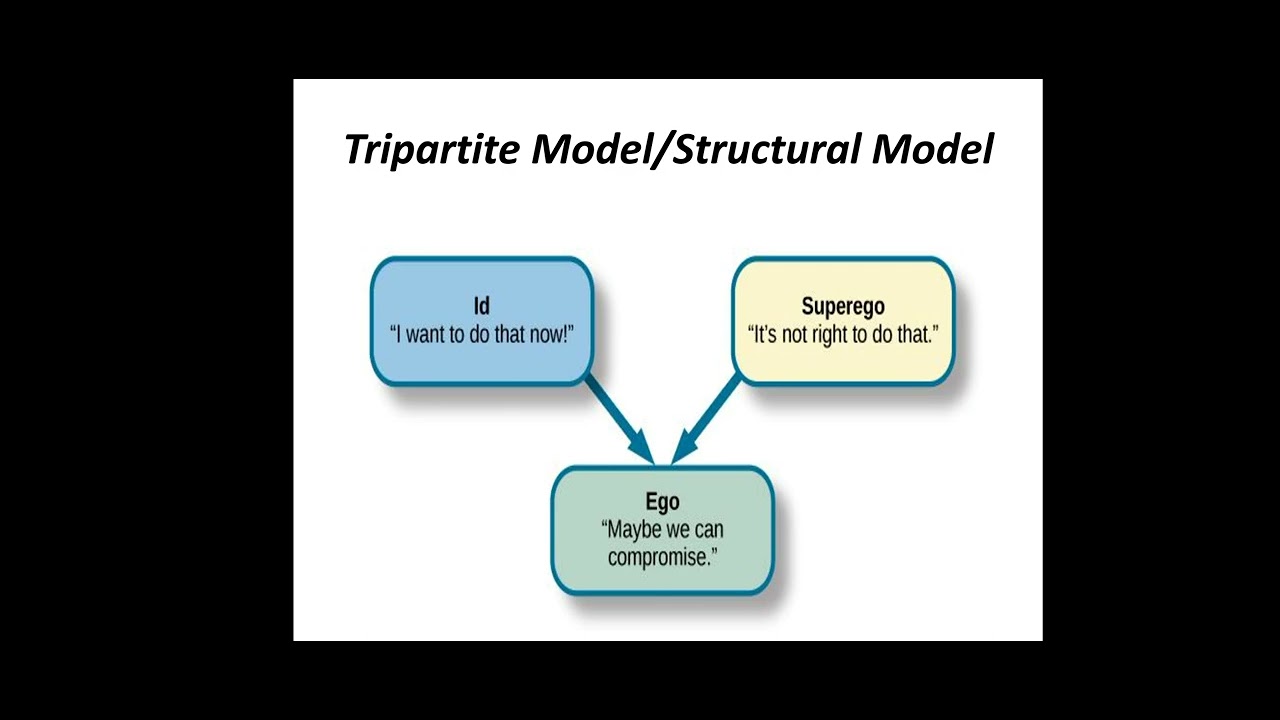 Tripartite Influence Model Tripartite Model Kompetenzrahmen In Digitalen Zeiten: Hamburger