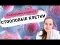 Что такое СТВОЛОВЫЕ КЛЕТКИ #стволовые_клетки #МСК #медицина #человек #развитие