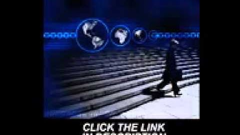 Watch Binary Options Trading Signals - Copy A Live Trader In Action! - Learn Binary Options Trading