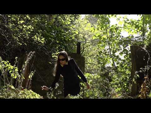 Fine - Everything in the shade