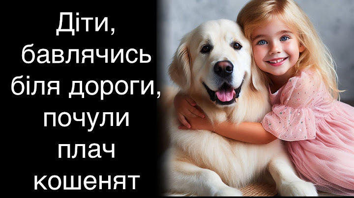 Діти, бавлячись біля дороги, почули плач кошенят
