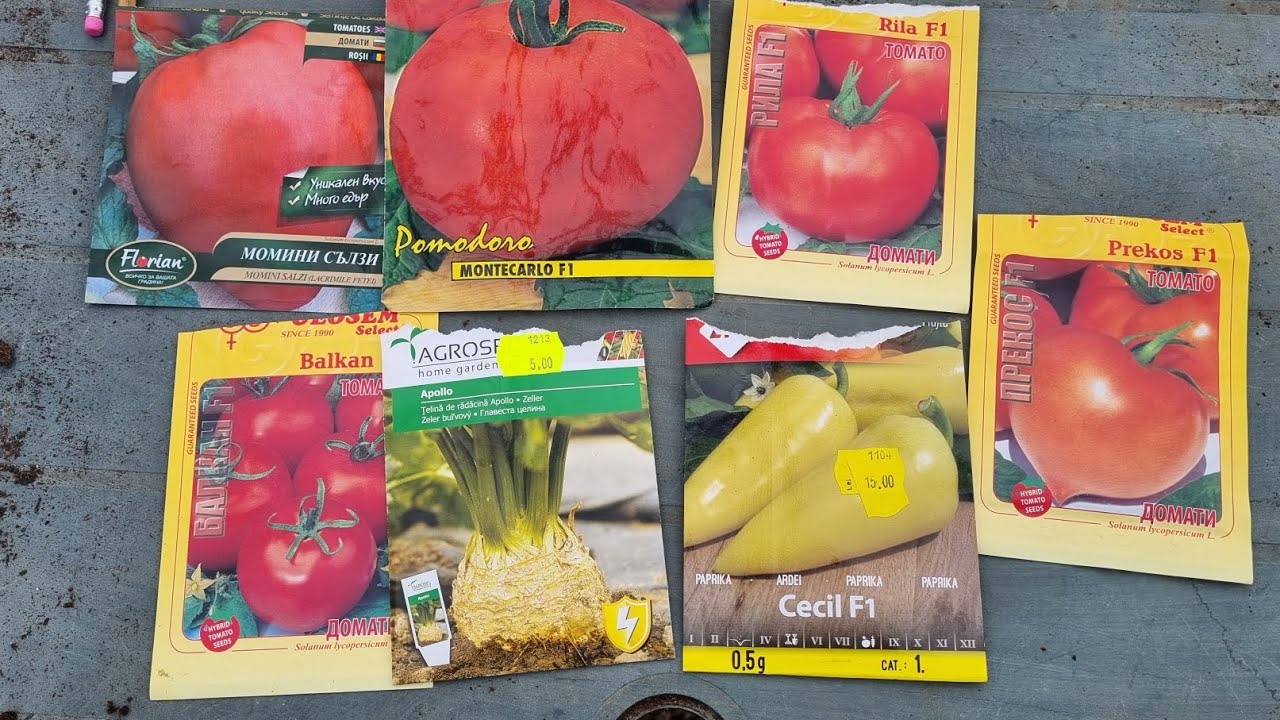 Rasad de tomate,toaletare nuc,semanat spanac