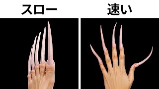 人間の体が隠している驚くべき謎