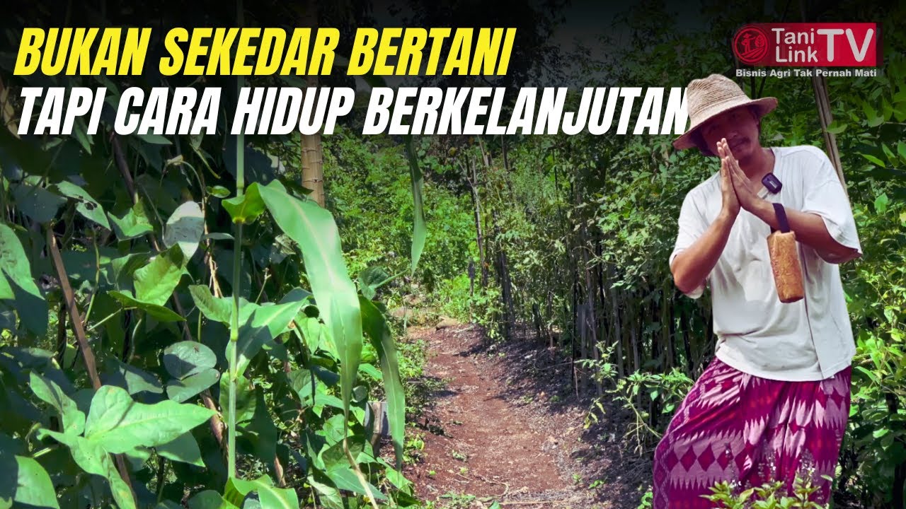 Belajar Permaculture di Bumi Langit: Menyatu dengan Alam, Menjaga Kehidupan