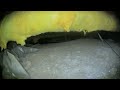 Crawlspace E Sixth St #1