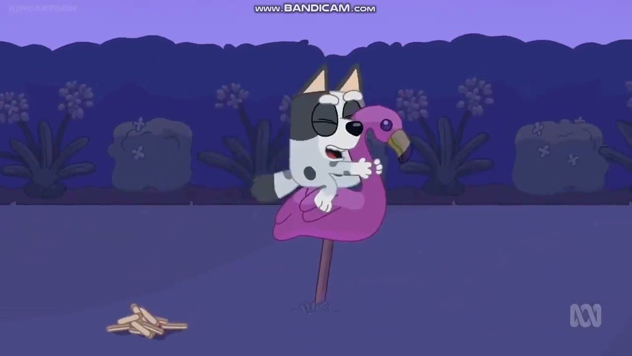 Bluey and Bingo Chase Muffin with Flamingo YouTube