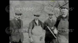 1927 Wassailing apple trees