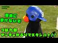 つば九郎　ヤンチャかぶりでスタンバイ！！　2026/5/13 vs阪神