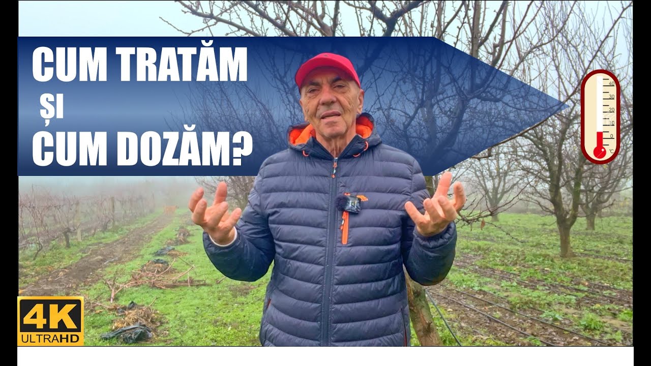 🍂 Существуют ли какие-либо методы обработки после опадания листьев? 😱 🌡️