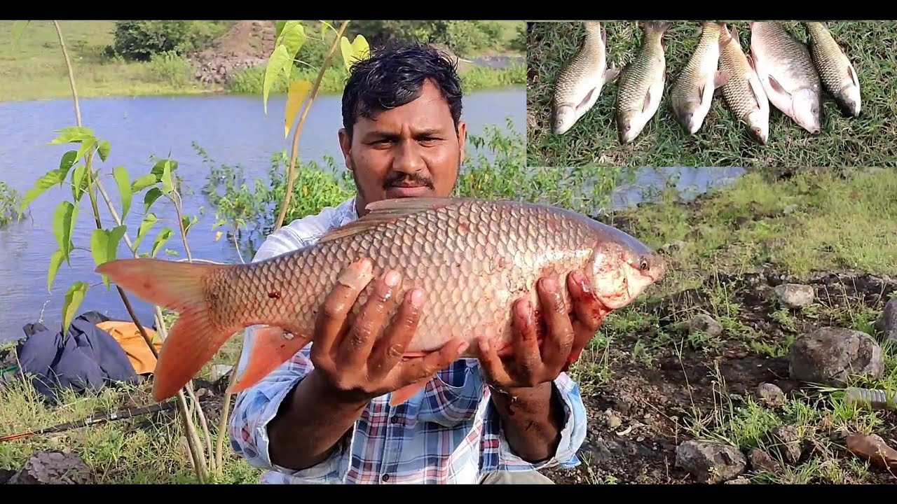 rohu machili ka shikar amazing 😳फिशिंग part 2