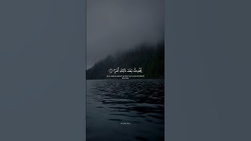 لَا تَدْرِي لَعَلَّ اللَّهَ يُحْدِثُ بَعْدَ ذَلِكَ أَمْرًا || القارئ شريف مصطفى || من سورة الطلاق