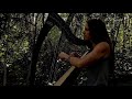 Last of the Mohicans Theme ~ Harp arrangement