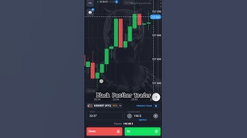 Binary Trading for Beginners | Trending Strategies to Maximize Profits