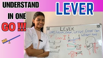 Lever in physiotherapy | Types and Examples | biomechanics | lever exercise therapy