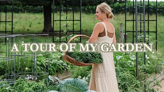 My Backyard Garden Tour!