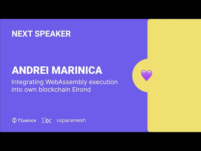 Wasm in Web3 Workshop - Andrei Marinica - Introducing WebAssembly execution into Elrond blockchain