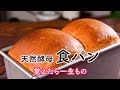 【元種の作り方】初めての天然酵母食パン｜覚えたら一生もの