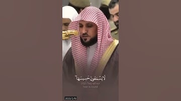 ستوريات دينيه /🌱/أن الذين سبقت لهم منا الحسنىٰ /🌱/#ماهر_المعيقلي/آيات قرانية قصيرة /ستوريات انستقرام