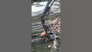 Heavy equipment handling trees! Cuts with precision in seconds! #logging #heavyequipment #machinery