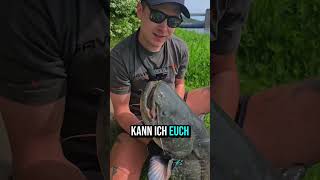 Eigentlich wollte ich ZANDER fangen...🤯 #fishing #catfish #angler #fish #fishinglife
