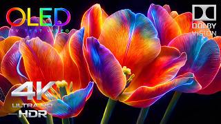 NO ONE Has Seen This 4K OLED Demo 🤯 | Epic 4K Video HDR 240FPS TV Test