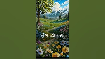 اجمل تلاوات القران الكريم ارح قلبك 💚 #المصحف #الرحمن #القران #راحة_نفسية #دويتو #duet #اكسبلور