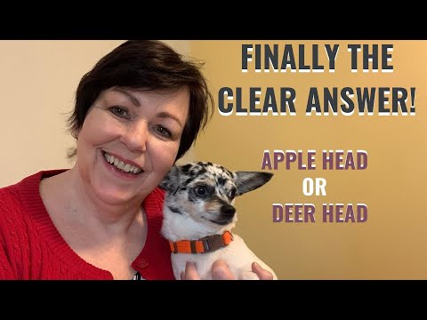 FINALLY! A CLEAR ANSWER, APPLE HEAD OR DEER HEAD?