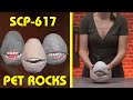 Making scp617  pet rocks scp orientation crafts