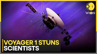 Nasa Voyager 1 Voyager 1 Sends Mystery Signal From 26 Billion Kilometers Away Wion