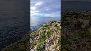 Mallorca-Magie Sonne, Meer, Blumen