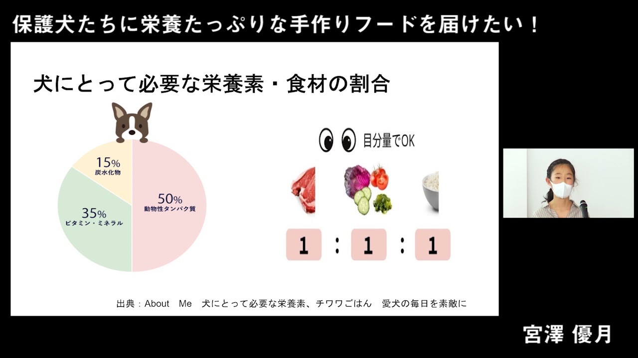 スタートアップjr アワード 宮澤 優月 中1 長野県 保護犬たちに栄養たっぷりな手作りフードを届けたい Youtube スタートアップjr アワード 宮澤 優月 中1 長野県 保護犬たちに栄養たっぷりな手作りフードを届けたい Youtube