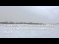 無農薬 有機栽培米 お米 ほんだ農場にも雪が降りました。2016/02/26