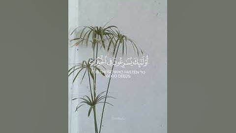 سورة المؤمنون || القارئ أنس المالك