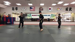 YLMA Little Tiger Blue Belt Curriculum