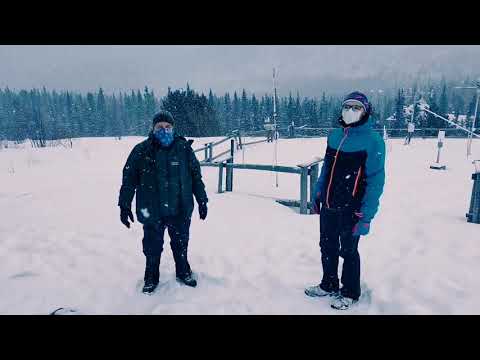 Wideo: Ferie Zimowe: Światowy Dzień Śniegu