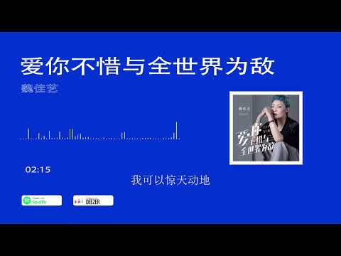 2022華語網絡流行音樂 ||《愛你不惜與全世界為敵》|| 魏佳藝 || 動態歌詞