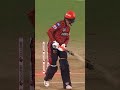 mitchell starc unplayable yorker 🥵🥶  #shorts #viral #trending #cricket