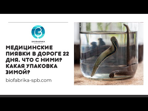 Биофабрика СПб распаковка пиявок СПБ-МСК-СПБ с 30 января по 20 февраля 2022 года