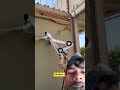 new project work -out #project #viralvideo #machine #construction #shorts