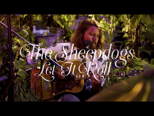 The Sheepdogs - Let It Roll