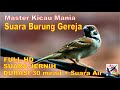 Masteran Murai, Suara Burung GEREJA Durasi Panjang + Terapi Suara Air Mengalir...FULL HD...!!!