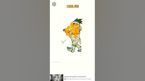 Draw Puzzle 2 Level 520