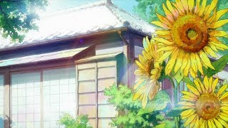 Rook1e - Sunflowers (w/ Limes)