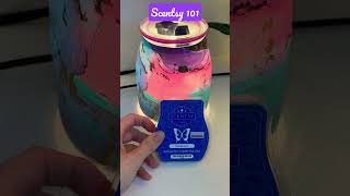 Curious about Scentsy Warmers Here s how they work