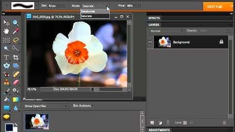 Photoshop Elements 9.0 Tutorial The Sponge Tool Adobe Training Lesson 13.8