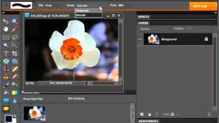 Photoshop Elements 9.0 Tutorial The Sponge Tool Adobe Training Lesson 13.8 Profile